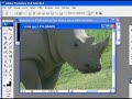 Photoshop Tips - Cutout using Pen Tool