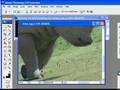 Photoshop Tips - Cutout using Pen Tool