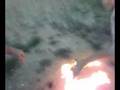 videos de enver sekiraqa2008