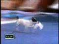 JRT LOLAN EN QUE APOSTAMOS