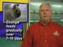 What is the best way to change feeds with my rabbits? What is the best way to change feeds with my rabbits?