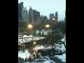 Ivan M New York adventure