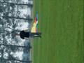 videos de better flying day