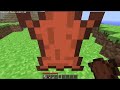Minecraft video