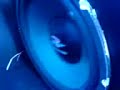 Boschmann sub on magnat xcite 600