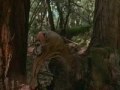 Ewoks: The Battle for Endor (3/10)