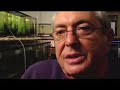 GOOD: Urban Aquaculture GOOD: Urban Aquaculture