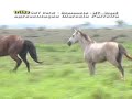 WF agropecuaria brasnorte.mpg WF agropecuaria brasnorte.mpg