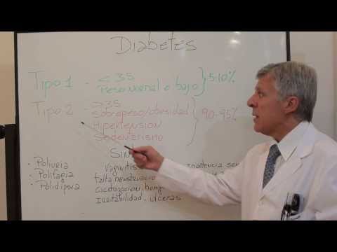 DIABETES E INSULINA DIABETES E INSULINA