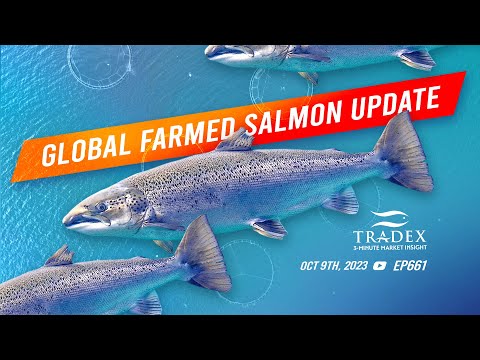 3MMI - Global Farmed Salmon Update: Shifting Salmon Dynamics, US Market Growth, Price Fluctuations & Future Outlook