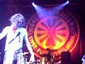 gogol bordello in turin   alcohol