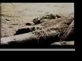 1944 JAPANESE Vs GERMANS!!! Close Combat on the Ghotic Line