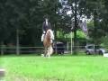 videos de wedstrijd Wianda augustus Bronneger L1
