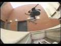 wade desarmo dgk skate
