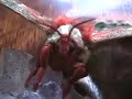 Huge Cecropia Moth