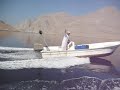 Jumping dolphins and angry guy on boat Jumping dolphins and angry guy on boat