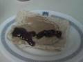 Peanut Butter & Jelly Senile Sandwich