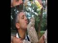 videos de nobleza