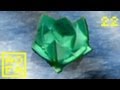    and Origami for all   22   The floating Waterlily