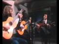 Wannes, Flamenco