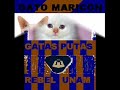 Las Aguilas son superiores a las gatas (Versión 1)