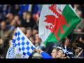 Cardiff City FC - I'll be there