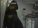 Waco Animal Hospital - Antifreeze