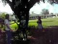 Jabberwocky (acted out)