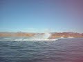 crackerbox flip