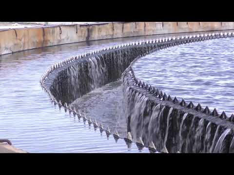 Просмотр видео Просмотр видео