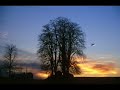 light-in-the-darkness-the-song-of-bad-.html