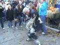 Star 105.5 - Six Flags Illinois Thriller Dance Record Pre-show warmup