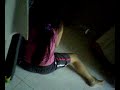 my stupid sister - Thumb #2
