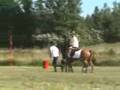 Forårs par d 24-25 maj