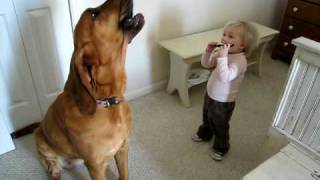 Toddler And Dog Play The Blues