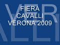 Fiera cavalli Verona 2009