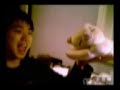Gekke bekken (Chinezen) Gekke bekken (Chinezen)