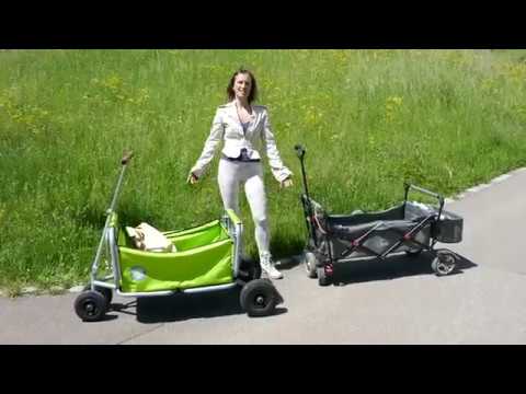 Bollerwagen Vergleich: BeachTrekker vs FuxTec