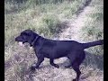 Dulcie and Luca - A Day on the Beach