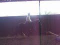 Me on the horse