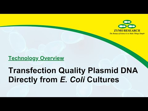 how to isolate plasmid from agrobacterium