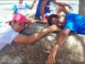 Coras Uan