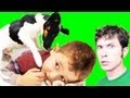 PUPPY TACKLE