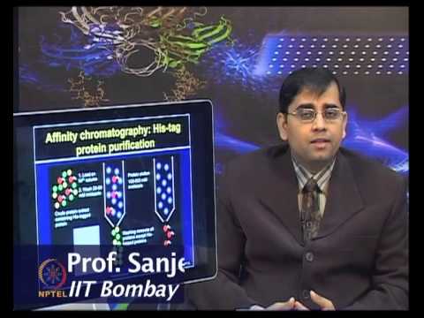 how to isolate transmembrane proteins