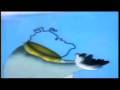 videos de BADLUCK1.mov