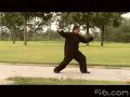 Funei Pai Taijquan - Master Wang Xilu