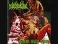 videos de Skunk Of Satan - For The Pig