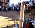 capeas 2005 -2