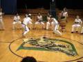 Au Capoeira Madison Roda7
