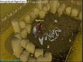 Druidic Ritual/ Dig Site Quest Druidic Ritual/ Dig Site Quest